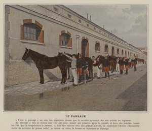 The Grooming (farget bilde) av (after) French Photographer