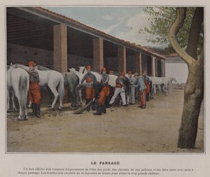 The Grooming (farget bilde) av (after) French Photographer