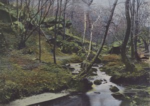 Vaux de Cernay, Les Cascades (farget bilde) av (after) French Photographer