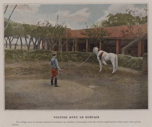 Vaulting with the Surcingle (farget bilde) av (after) French Photographer