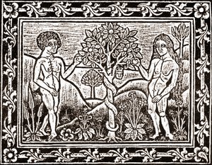 Treet som Adam spiste eplet fra, faksimile fra en meditasjonsbok, den første boken trykt i Albi, Languedoc, i 1481 av (after) French School