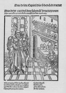 The Book of Cirurgia av Hieronymus Brunschwig (litho) av (after) German School