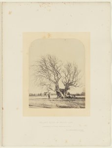  av 14th Earl of Caithness James Sinclair