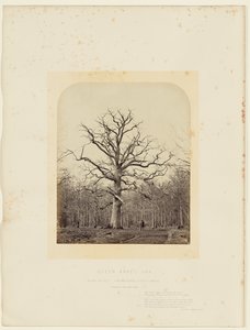  av 14th Earl of Caithness James Sinclair