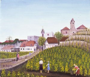 Druehøsting i Dürnstein