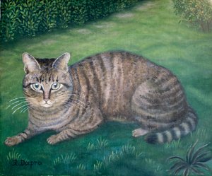 Katten Julia
