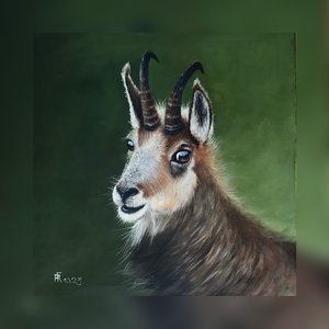 Alpenes vokter