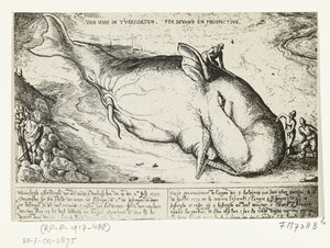 Utskrift av den oppvaskede hvalen nær Antwerpen, 2. juli 1577 av A.B. van Deinse
