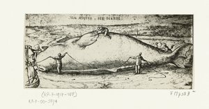 Utskrift av den oppvaskede hvalen nær Antwerpen, 2. juli 1577 av A.B. van Deinse