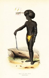 Papuansk mann fra Dory Harbour, Vest-Papua av AC AC