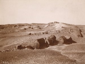 I Petrified Forest (General View, Middle Park) av A.C. Vroman