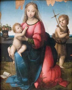 Madonna og barn med den unge St John, Andrea Piccinelli kjent som il Brescianino (olje på panel) av A. (1485 c.1525) Piccinelli