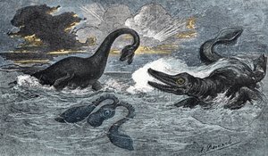 Plesiosaur og en ikthyosaur fra nedre jura-perioden