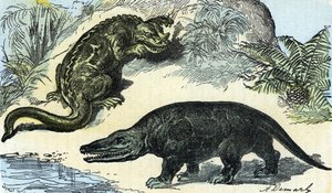 Forhistorie: representasjon av en iguanodon og megalosaurus fra krittperioden