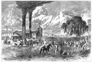 Sugar Plantation, New Orleans, 1870. av A. R. Ward