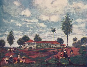 Kaffefarmen, 1916 av A. S. Forrest