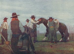 Gauchos bryter inn en ung hest, 1916 av A. S. Forrest