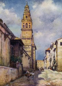 Cordova, Calle Cardinal Herrera (farge litho) av A. Trevor Haddon
