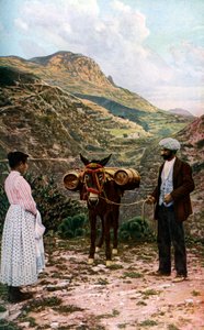 Muldyr med vannfat, Sicilia, Italia, c1923