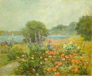 Valmuer