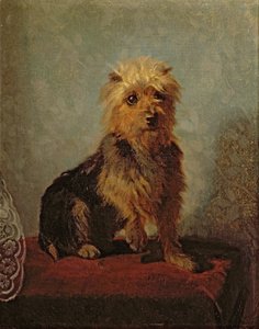 Chadwicks hund, 1874