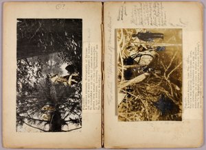 Nordamerikanske indianere, studiemappe for boken *Skjul farger i dyreriket* av Abbott Handerson Thayer