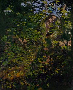 Påfugl i skogen, studie til boken Concealing Coloration in the Animal Kingdom av Abbott Handerson Thayer