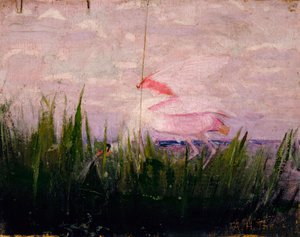 Roseate Spoonbill, studie for boken Concealing Coloration in the Animal Kingdom, ca. 1905-1909.