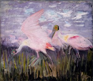 Roseate Spoonbills, studie for boken Concealing Coloration in the Animal Kingdom