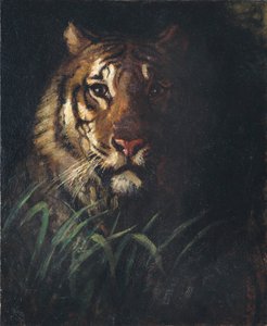 Tigerhode av Abbott Handerson Thayer