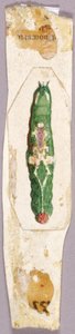 White Birch Leaf Edge Caterpillar, studie for boken Concealing Coloration in the Animal Kingdom. av Abbott Handerson Thayer