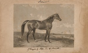 Aliwal, eiendommen til Sir Harry Smith, Bart (litografi) av Abraham (after) Cooper