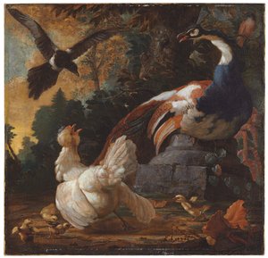 En påfugl, fjærfe og en skjære i et landskap, 1720 av Abraham Bisschop