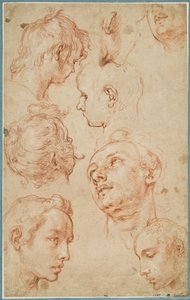 Åtte studier av unge menns hoder av Abraham Bloemaert