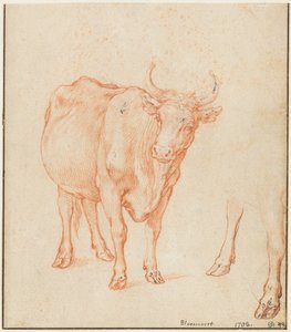 Studier av en ku av Abraham Bloemaert