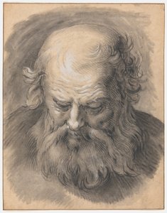 Studie av hodet til en skjeggete mann av Abraham Bloemaert