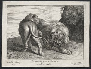 Ulike løver. av Abraham Blooteling