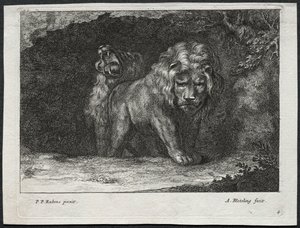 Ulike løver. av Abraham Blooteling