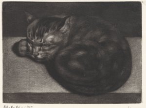 Sovende katt