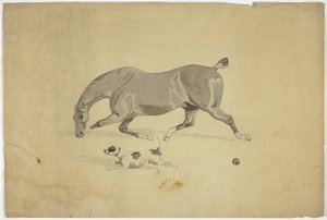  av Abraham Cooper