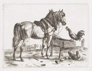 Hest ved en mater