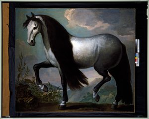 Hest i et landskap