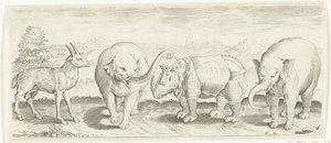 Gaselle-, elefant- og neshorndyr (serietittel) av Abraham de Bruyn (possibly)