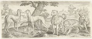 hunder Dyr (serietittel) av Abraham de Bruyn (possibly)