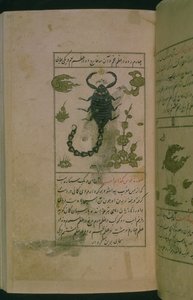 Stjernetegnene i dyrekretsen: Skorpionen, skorpionen, fra Talim dar marifat i taqvim, 1498 (903 Hijra) (blekk) av Abu Jafar al Tabari