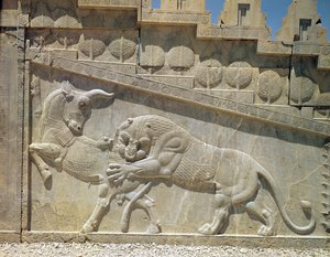 Løve som kjemper mot en okse, relieff på østtrappen til Apadana, Achaemanian Period, ca. 515