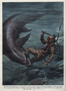 En japansk dykker med en scaphandler ble slukt av en hai i Stillehavet. Illustrasjon av Achille Beltrame fra "La domenica del corriere"" av 08.08.1937. av Achille Beltrame