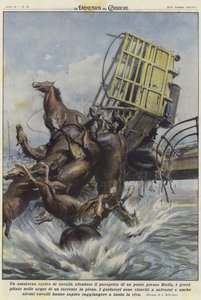En lastebil med hest i en ulykke i Biella