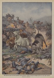 Okser presset av russerne på det ryddede landet rundt Premysl og sprengt av dynamitt? av Achille Beltrame