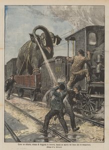 Som en elefant, lei av å reise med jernbane, hindrer du toget som fraktet den i å bevege seg av Achille Beltrame